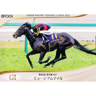 ホースレーシングカードのおすすめ人気ランキングTOP100 - Yahoo