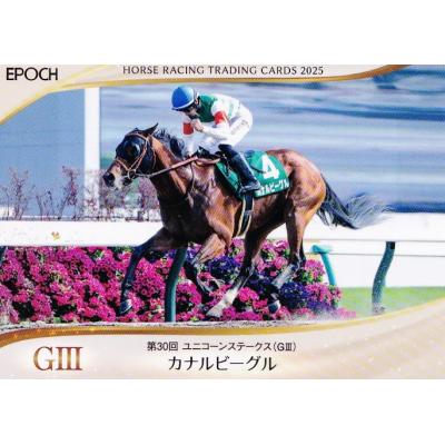 ホースレーシングカードのおすすめ人気ランキングTOP100 - Yahoo