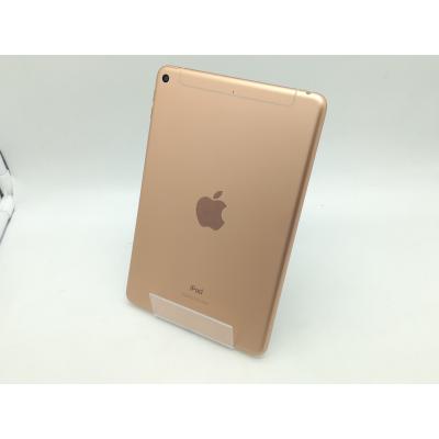 ipad mini 5（内蔵ストレージ容量：64GB）のおすすめ人気商品一覧 通販