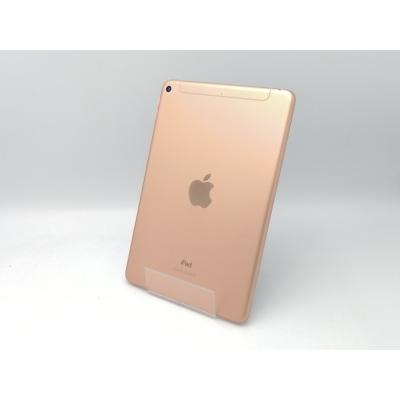 ipad mini 5（内蔵ストレージ容量：64GB）の商品一覧 通販 - Yahoo
