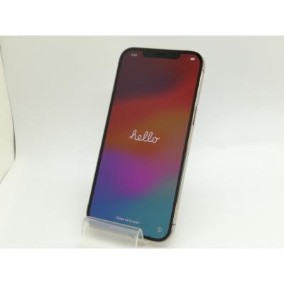 iPhone 12 Pro Max iPhone本体（SIM情報：SIMフリー）｜スマホ｜スマホ