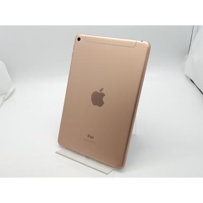 ipad mini 5（内蔵ストレージ容量：64GB）のおすすめ人気商品一覧 通販