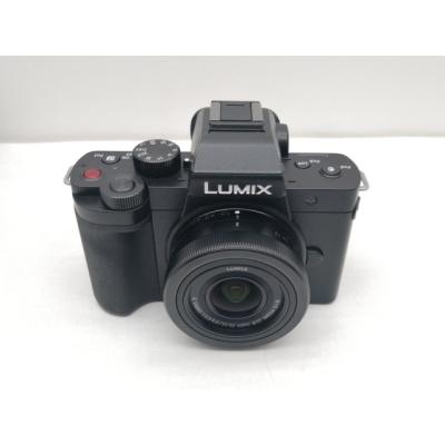 lumix g100d（付属レンズ：レンズキット）のおすすめ人気商品一覧 通販