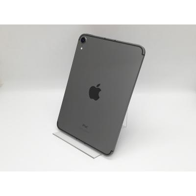 ipad 第8世代 本体（内蔵ストレージ容量：256GB）のおすすめ人気商品