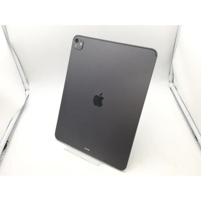 ipadpro 13インチ m5（内蔵ストレージ容量：512GB）の商品一覧 通販