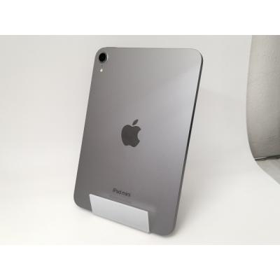 ipad mini a17 pro（内蔵ストレージ容量：256GB）の商品一覧 通販