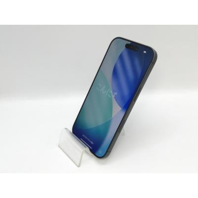 iphone17 256（Apple）（色：ブラック系）のおすすめ人気商品一覧 通販