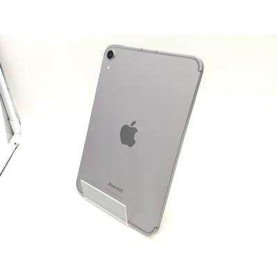 ipad mini a17 pro（内蔵ストレージ容量：256GB）の商品一覧 通販