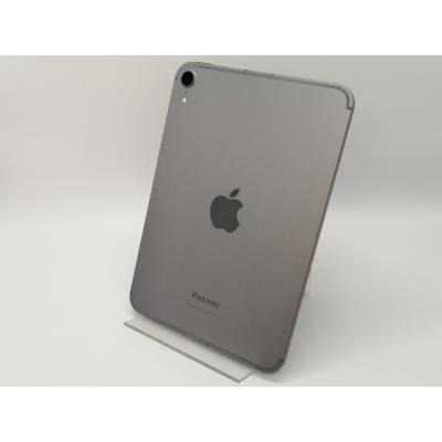 ipad mini a17 pro（ネットワーク：SIMフリー）の商品一覧 通販