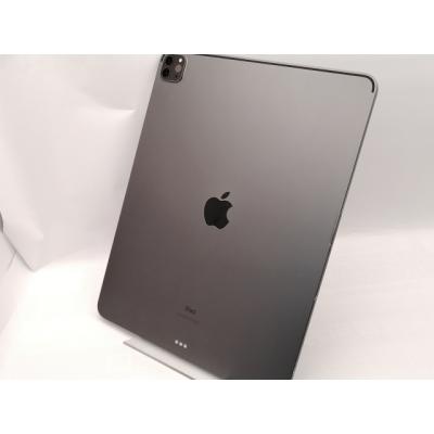 ipad pro 12.9 第5世代 128gb（色：グレー系）のおすすめ人気商品一覧