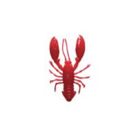 ワンナック デビルクロー 4インチ 5個入り #レッドラメ | Japan Bass Tackle