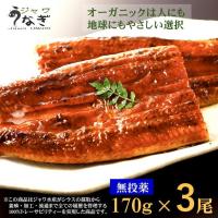 ジャワ うなぎ 大サイズ 鰻 蒲焼き 長焼き 150g 5本 タレ 山椒 付き 国産 飼料で育て 九州 柳川 風 たれ で仕上げました Rtbs705 ジャワ水産yahoo 店 通販 Yahoo ショッピング