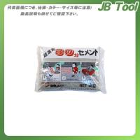 家庭化学工業 30分セメント 1KG グレ- | JB Tool