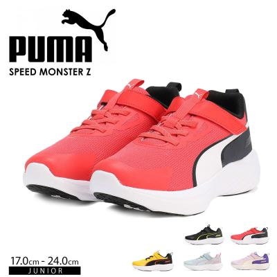 PUMA（着脱タイプ：ベルクロ、マジックテープ）おすすめ人気商品一覧