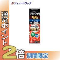 【指定第2類医薬品】ブテナロックVαスプレー 20mL ※セルフメディケーション税制対象 | ジェットドラッグ