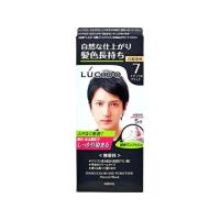 マンダム ルシード ワンプッシュケアカラー ナチュラルブラック 1組 白髪用ヘアカラー ヘアカラー ヘアケア | JetPrice