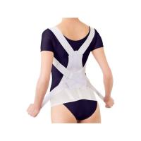 【お取り寄せ】アルファックス お医者さんのがっちり背すじベルト M-L | JetPrice