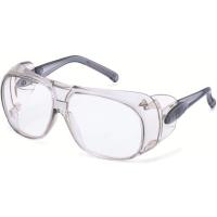 【お取り寄せ】YAMAMOTO 二眼型セーフティグラス YS-75  メガネ 防災面 ゴーグル 安全保護具 作業 | JetPrice