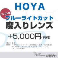 HOYA ブルーライトカット度入りレンズ 単品販売可能 メガネレンズ 眼鏡レンズ 