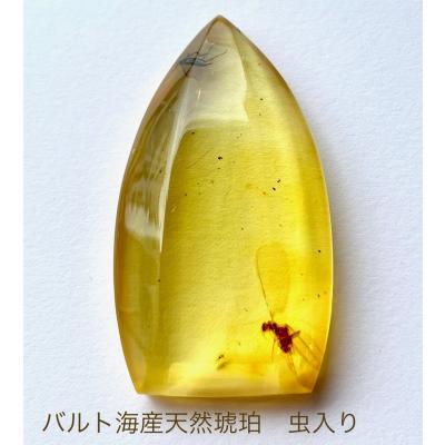 琥珀 虫 化石のおすすめ人気商品一覧 通販 - Yahoo!ショッピング