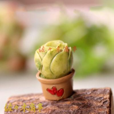 ドールハウス ミニチュアガーデン　インテリア　置物　多肉植物　ドールハウス DG613 ガーデンハウス