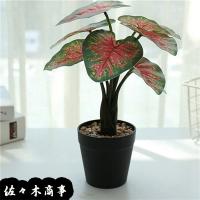 人工樹木 フェイクグリーン 人工観葉植物 室内 店舗装飾 モンステラバリエガータポット グリーン Dmfg22 228 Gla 1533 Gr 造花ディスプレイ ドットコム 通販 Yahoo ショッピング