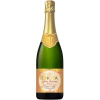 ワイン  The CHOYA  梅サルーテ　750ml | 美酒の泉ジャパニーズSAKE