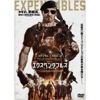 【残り1点/大迫力サイズ】エクスペンダブルズ オリジナルポスター 2010年公開 エクスペンダブルズ US版オリジナルポスター - 映画ポスター専門