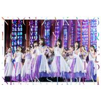 10th YEAR BIRTHDAY LIVE DAY2/乃木坂46[DVD]【返品種別A】 | Joshin web CDDVD Yahoo!店