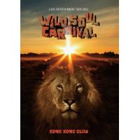 a K2C ENTERTAINMENT TOUR 2023 〜WILD SOUL CARNIVAL〜【DVD】/米米CLUB[DVD]【返品種別A】 | Joshin web CDDVD Yahoo!店