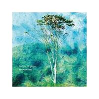 Forest of glass/桜庭統[CD]【返品種別A】 | Joshin web CDDVD Yahoo!店