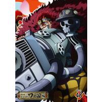 ONE PIECE ワンピース 20THシーズン ワノ国編 piece.48/アニメーション[DVD]【返品種別A】 | Joshin web CDDVD Yahoo!店