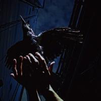 Cold Edge e.p./9mm Parabellum Bullet[CD]【返品種別A】 | Joshin web CDDVD Yahoo!店