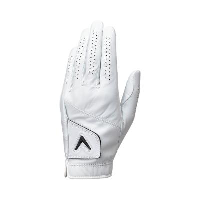 ゴルフグローブ　8セット VictoriaGolf Yahoo!店 - 右手用｜Yahoo!ショッピング