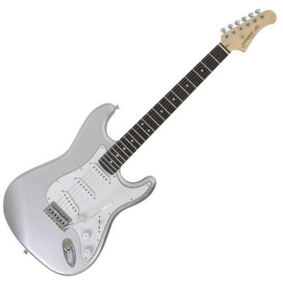 【中古】フルアコ エレキギター シルバー その他のフルアコ/セミアコ、シルバー系の検索結果1～3件【楽器