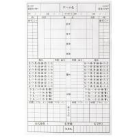 FINTA(フィンタ) レフェリー記録用紙(30枚入り) 返品種別A | Joshin web