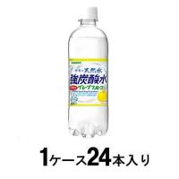 伊賀の天然水 強炭酸水グレープフルーツ 500ml(1ケース24本入) サンガリア 返品種別B | Joshin web