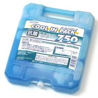 JEJアステージ クールインパック(ハードタイプ) 750g ／3日〜4日で出荷／ 返品種別A | Joshin web