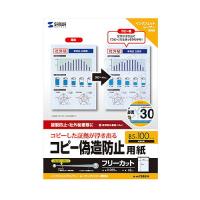 サンワサプライ マルチタイプコピー偽造防止用紙(B5・100枚入り) JP-MTCBB5N 返品種別A | Joshin web