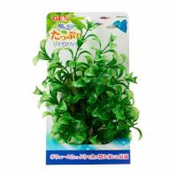 癒し水景 たっぷり ハイグロフィラ ジェックス GEX 返品種別A | Joshin web