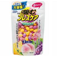 噛むブレスケア パウチ アソート 100粒 小林製薬 返品種別A | Joshin web