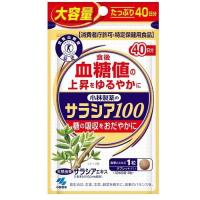 小林製薬のサラシア100 大容量 120粒 小林製薬 返品種別B | Joshin web