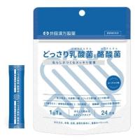 どっさり乳酸菌と酪酸菌 48g(2g×24袋) 井藤漢方製薬 [健康補助食品] 返品種別B | Joshin web