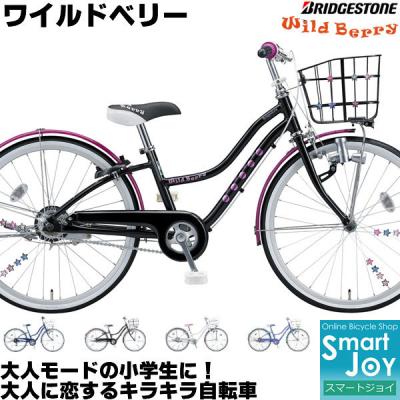 ブリヂストン自転車 24（BRIDGESTONE）（ライト：ダイナモライト）の