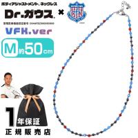 Dr.ガウス ドクターガウス ヴァンフォーレ甲府 50cm Mサイズ 磁気ネックレス アクセサリー 健康 管理医療機器 磁気治療器 スポーツアクセサリー 肩こり | JPLAMPヤフー店