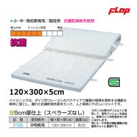 フラップ 合成スポンジ・コンビマット(ハイジニック) 9号帆布 120×300×5cm 大型品 F103 ＜2024NP＞ | JPNスポーツ