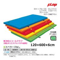 フラップ エコカラーコンビマット スベラーズなし 120x600x6 大型品 F1498 ＜2024NP＞ | JPNスポーツ