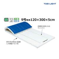 トーエイライト ミラスポンジマット5cm厚(9号帆布)・ノンスリップ 120×300×5cm (メーカー直送) T-1230 ＜2024NP＞ | JPNスポーツ