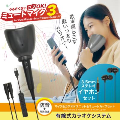 自宅カラオケ 専用室シアターCASE58 カラオケやダンスも楽しめる多目的