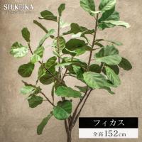 リアル 大型 フェイクグリーン「フィカス（ファイカス） 152cm シルカ（Silk-ka）」 人工 観葉 植物 おしゃれ 人工観葉植物 樹木 | 郵便ポスト・表札のJUICYGARDEN